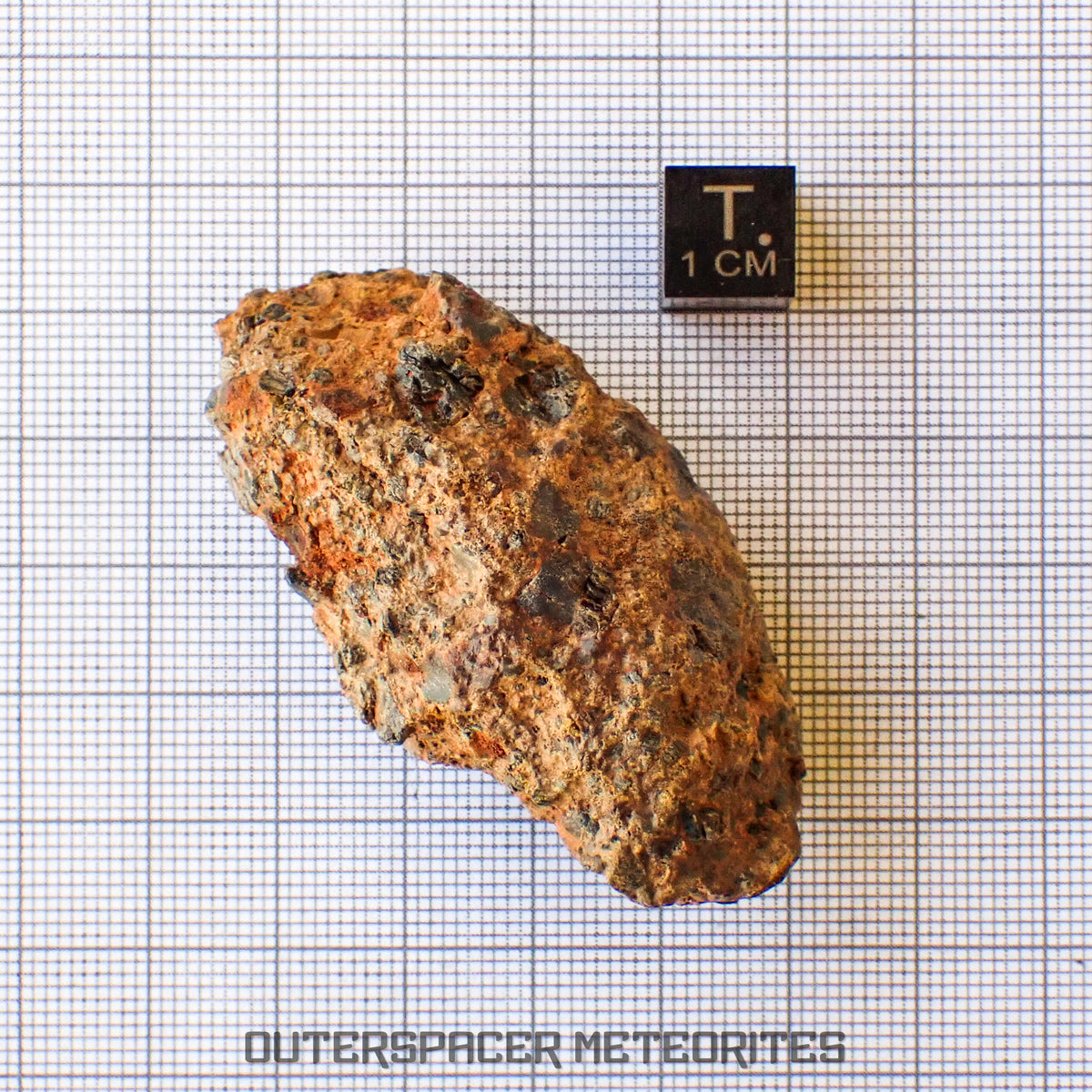 Taoudenni - Diogenite - Fragment - 54g - Mali
