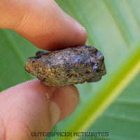 Taoudenni - Diogenite - Fragment - 15.5g - Mali