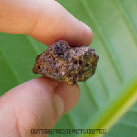 Taoudenni - Diogenite - Fragment - 15.5g - Mali
