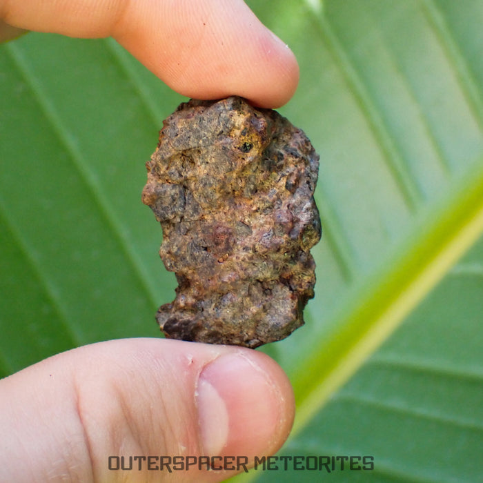 Taoudenni - Diogenite - Fragment - 15.5g - Mali