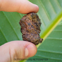 Taoudenni - Diogenite - Fragment - 15.5g - Mali