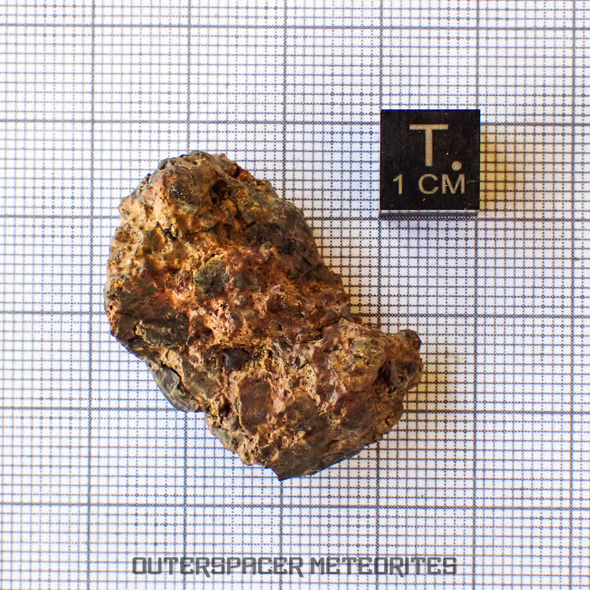 Taoudenni - Diogenite - Fragment - 15.5g - Mali