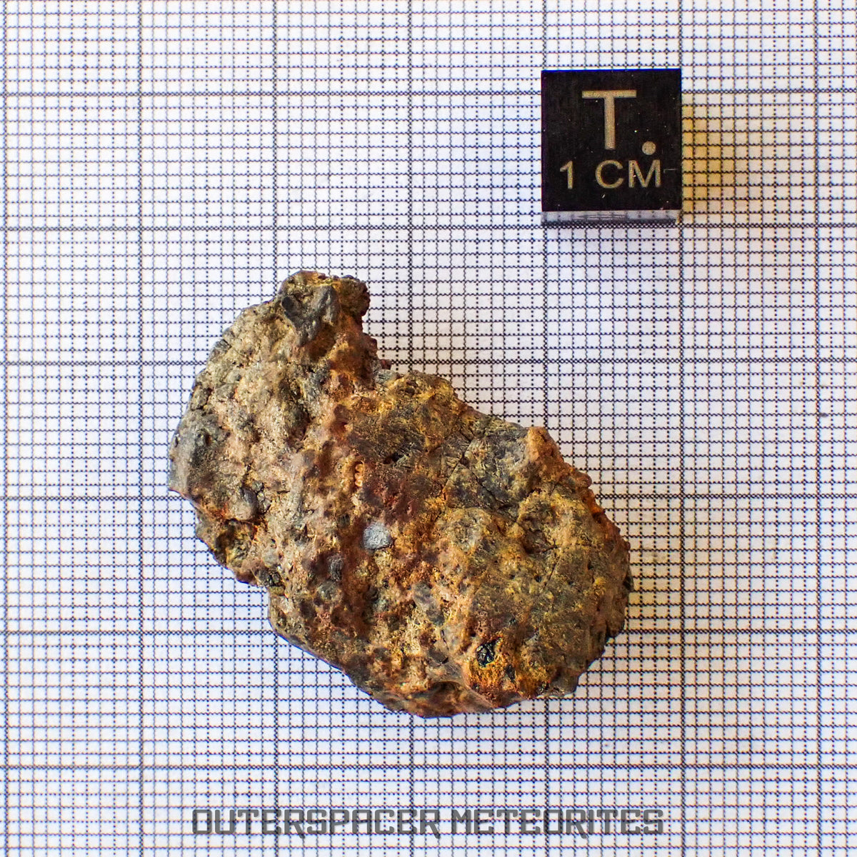 Taoudenni - Diogenite - Fragment - 15.5g - Mali