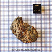 Taoudenni - Diogenite - Fragment - 15.5g - Mali