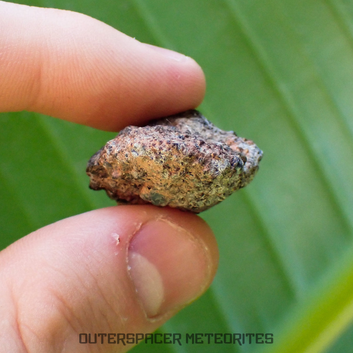 Taoudenni - Diogenita - Fragmento - 15,2g - Mali