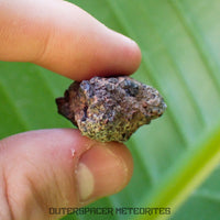 Taoudenni - Diogenita - Fragmento - 15,2g - Mali