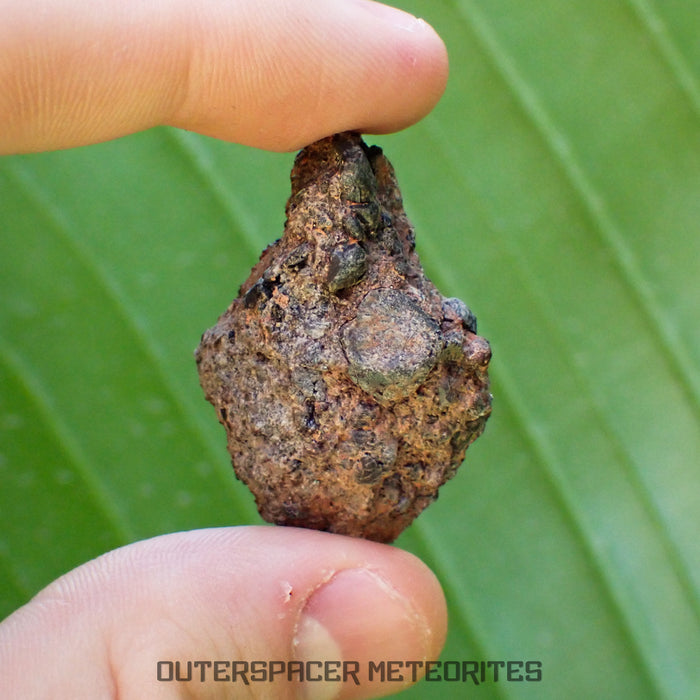 Taoudenni - Diogenite - Fragment - 15.2g - Mali
