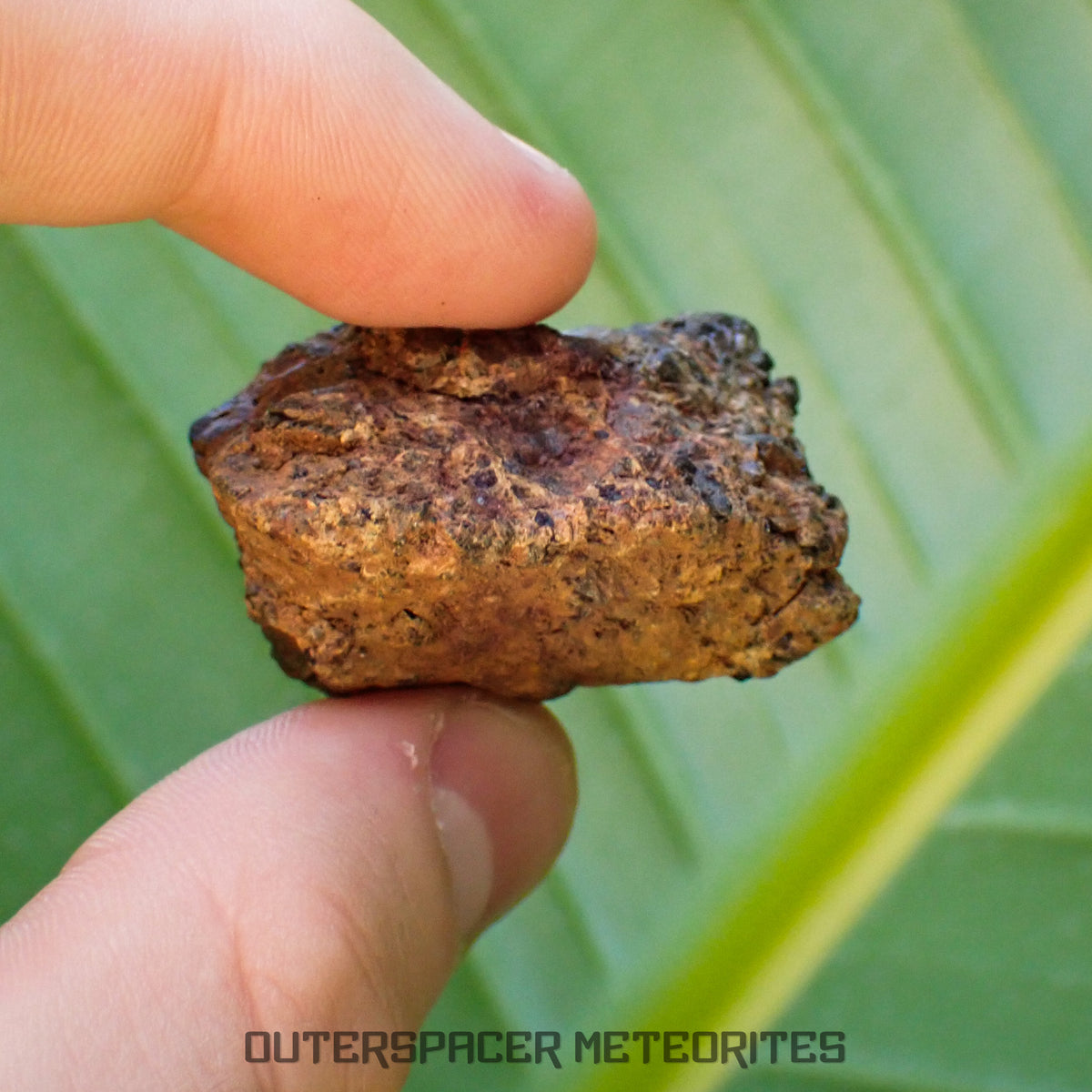 Taoudenni - Diogénite - Fragment - 38g - Mali