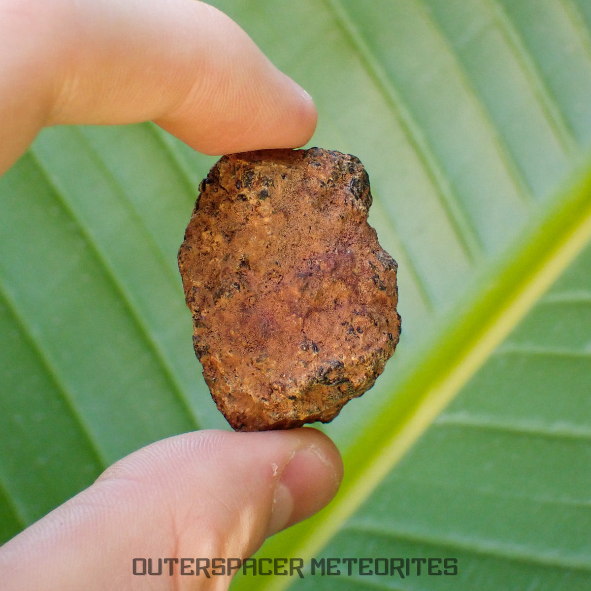 Taoudenni - Diogénite - Fragment - 38g - Mali