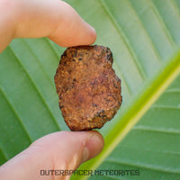 Taoudenni - Diogénite - Fragment - 38g - Mali