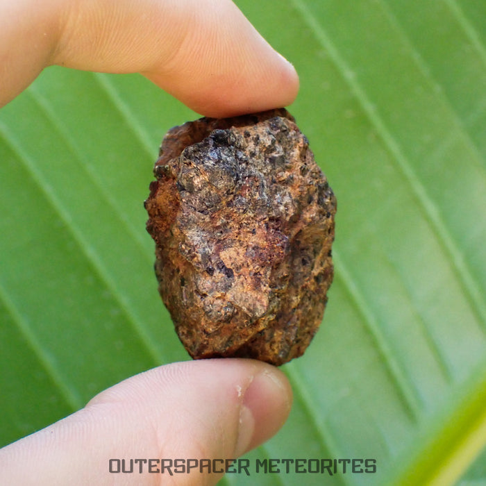 Taoudenni - Diogenite - Fragment  - 38g - Mali