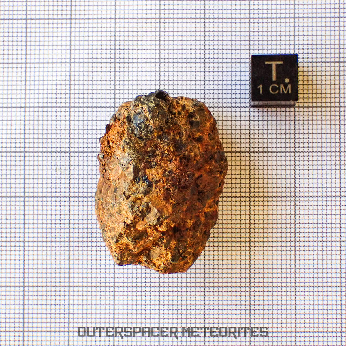 Taoudenni - Diogénite - Fragment - 38g - Mali