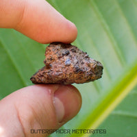 Taoudenni - Diogenite - Fragment - 16.3g - Mali