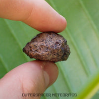 Taoudenni - Diogenite - Fragment - 16.3g - Mali