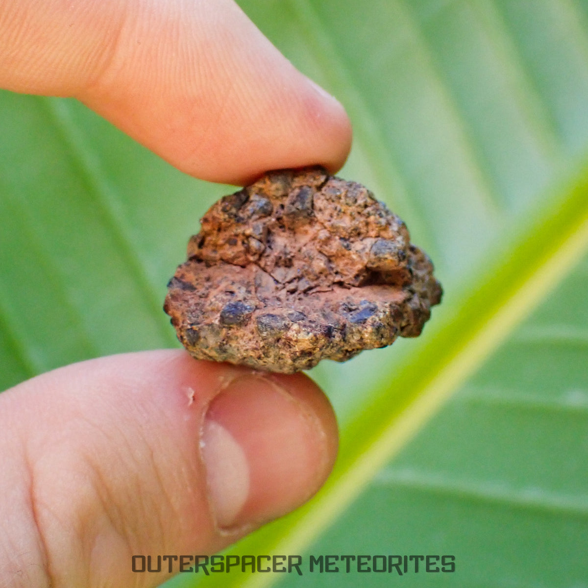 Taoudenni - Diogenite - Fragment - 16.3g - Mali