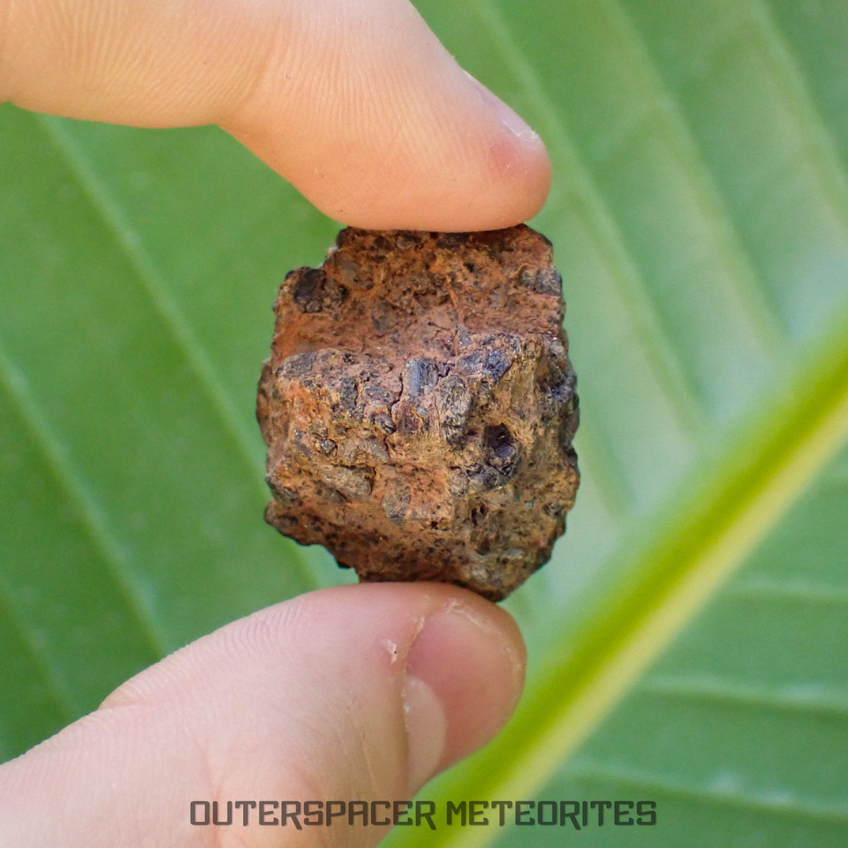 Taoudenni - Diogenite - Fragment - 16.3g - Mali