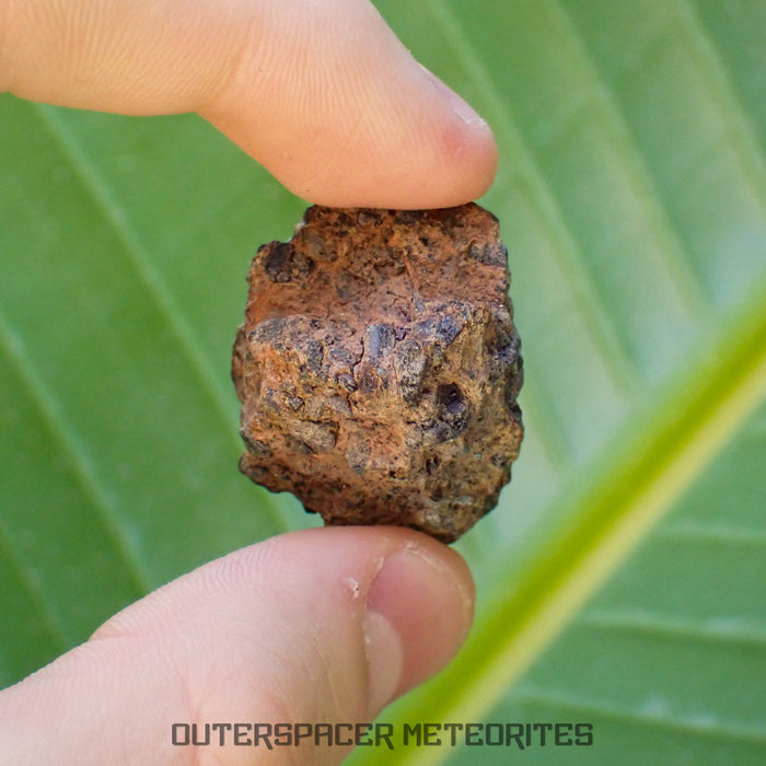 Taoudenni - Diogenite - Fragment - 16.3g - Mali