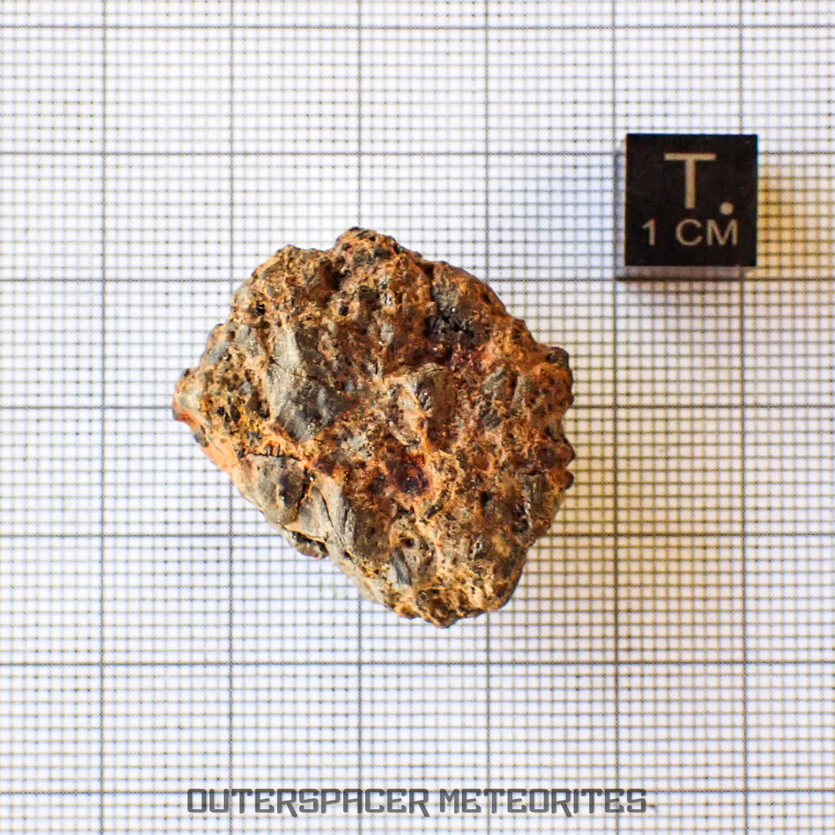 Taoudenni - Diogenite - Fragment - 16.3g - Mali
