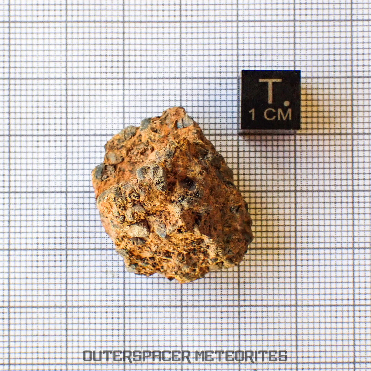 Taoudenni - Diogenite - Fragment - 16.3g - Mali