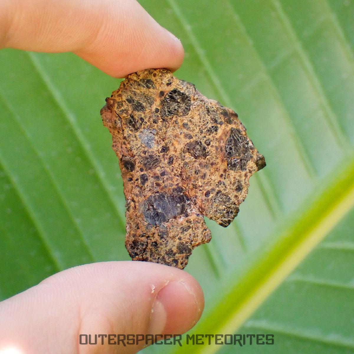 Taoudenni - Diogenite - Slice - 15g - Mali