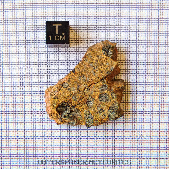 Taoudenni - Diogenite - Slice - 15g - Mali