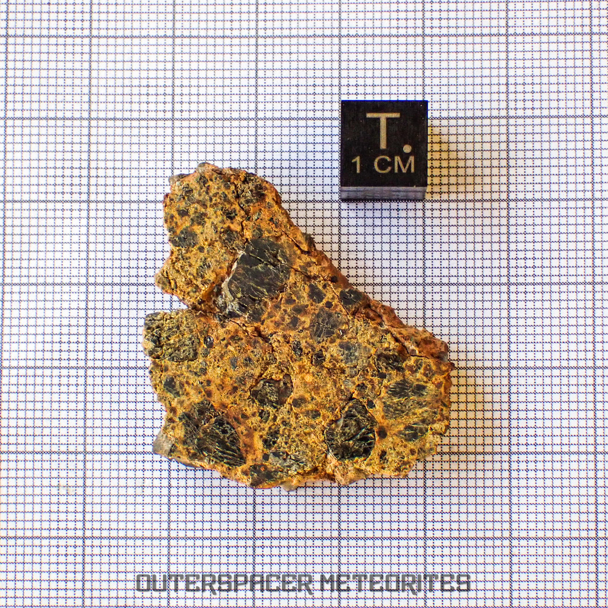 Taoudenni - Diogenite - Slice - 15g - Mali