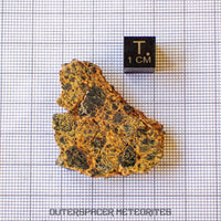 Taoudenni - Diogenite - Slice - 15g - Mali