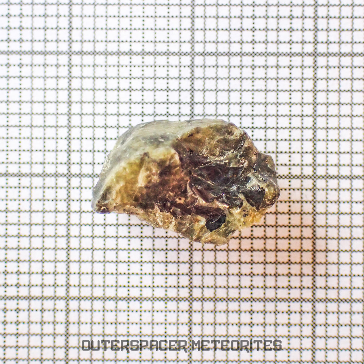 Tatahouine - Diogenite - Fragment - 1.67g - Tunisia