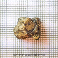 Tatahouine - Diogenite - Fragment - 1.63g - Tunisia
