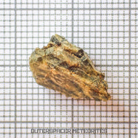 Tatahouine - Diogenite - Fragment - 1.53g - Tunisia