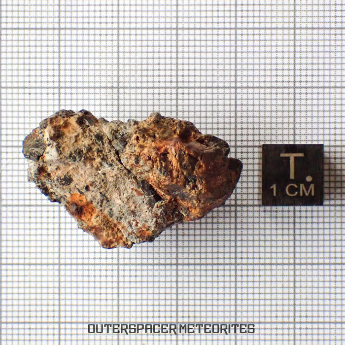 Taoudenni - Diogenite - Fragment - 14.1g - Mali