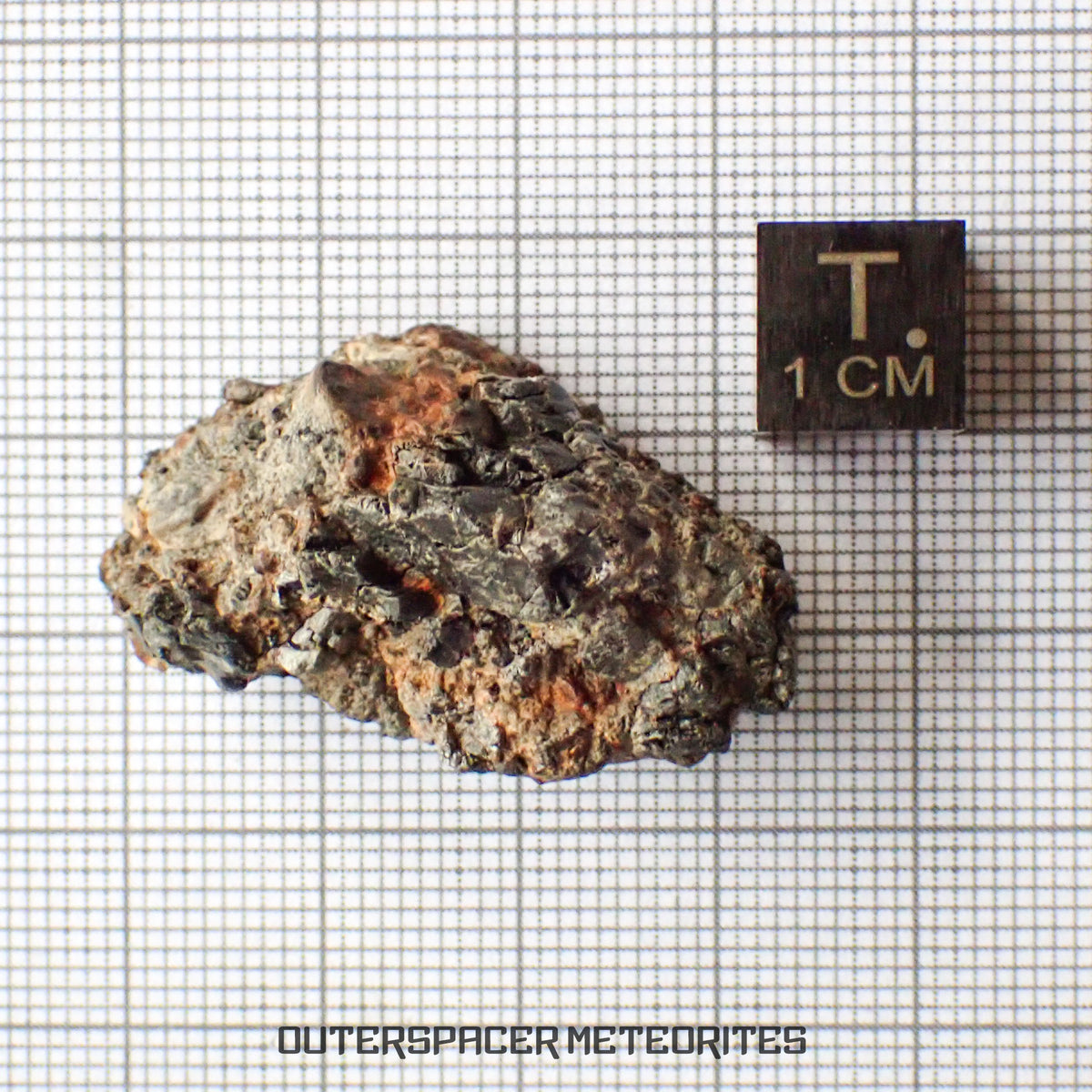 Taoudenni - Diogenite - Fragment - 14.1g - Mali