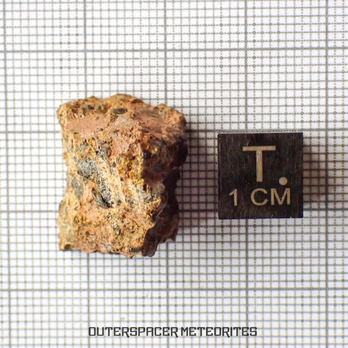 Taoudenni - Diogenite - Fragment - 7.6g - Mali