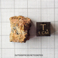 Taoudenni - Diogenite - Fragment - 7.6g - Mali