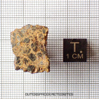 Taoudenni - Diogenite - Fragment - 7.6g - Mali