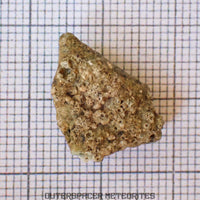 Trinitite (alias Atomsite ou Verre d'Alamogordo) - Verre fondu de bombe atomique - Spécimen individuel complet - États-Unis (Nouveau-Mexique)