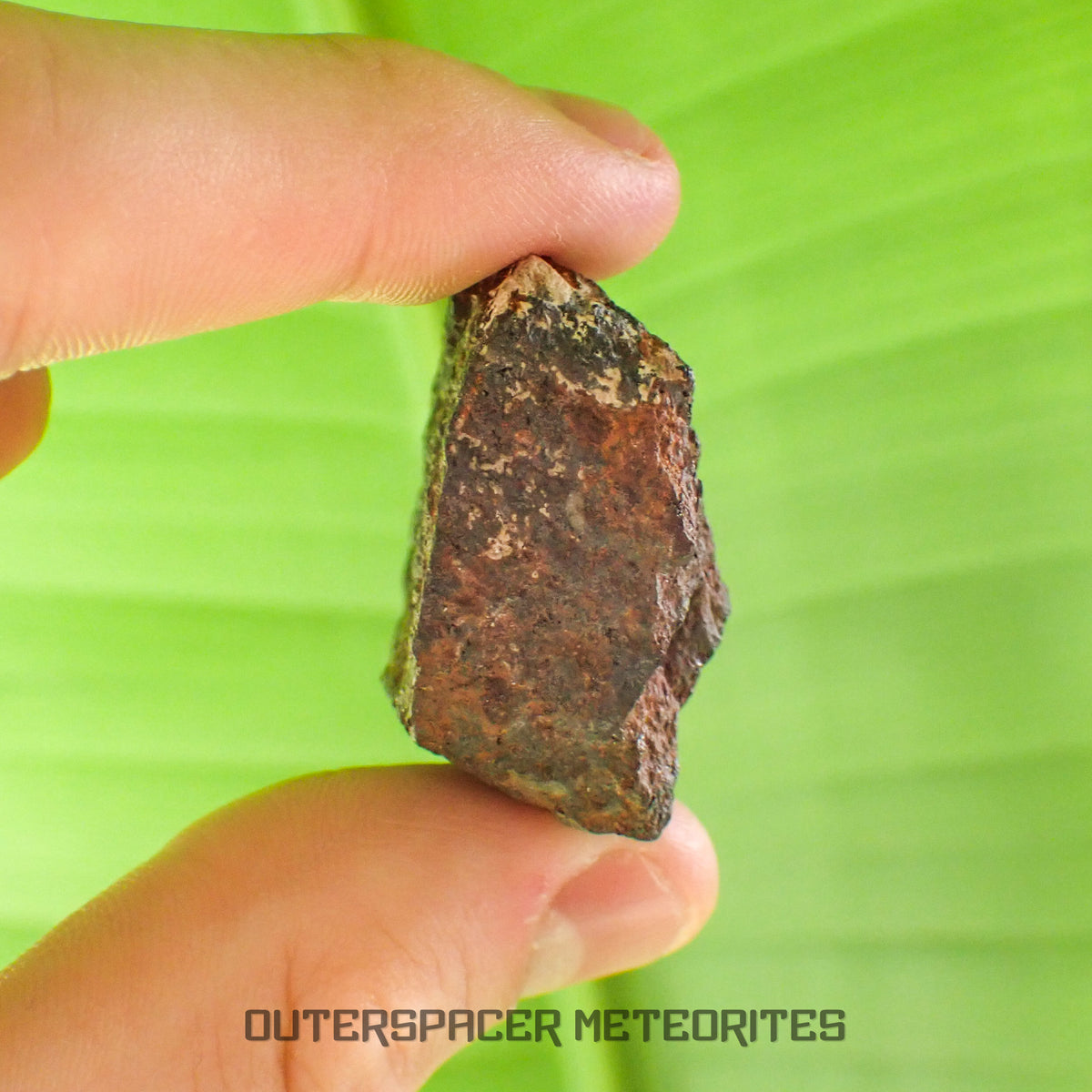 Tsarev - L5 Ordinary Chondrite - Complete Individual - 42.2g - Russia (Volgograd)