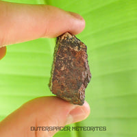 Tsarev - L5 Ordinary Chondrite - Complete Individual - 42.2g - Russia (Volgograd)