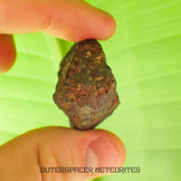 Tsarev - L5 Ordinary Chondrite - Complete Individual - 42.2g - Russia (Volgograd)
