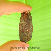 Tsarev - L5 Ordinary Chondrite - Complete Individual - 42.2g - Russia (Volgograd)