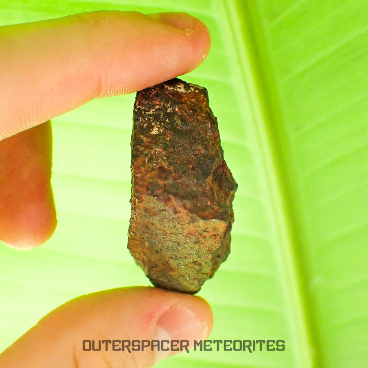 Tsarev - L5 Ordinary Chondrite - Complete Individual - 42.2g - Russia (Volgograd)