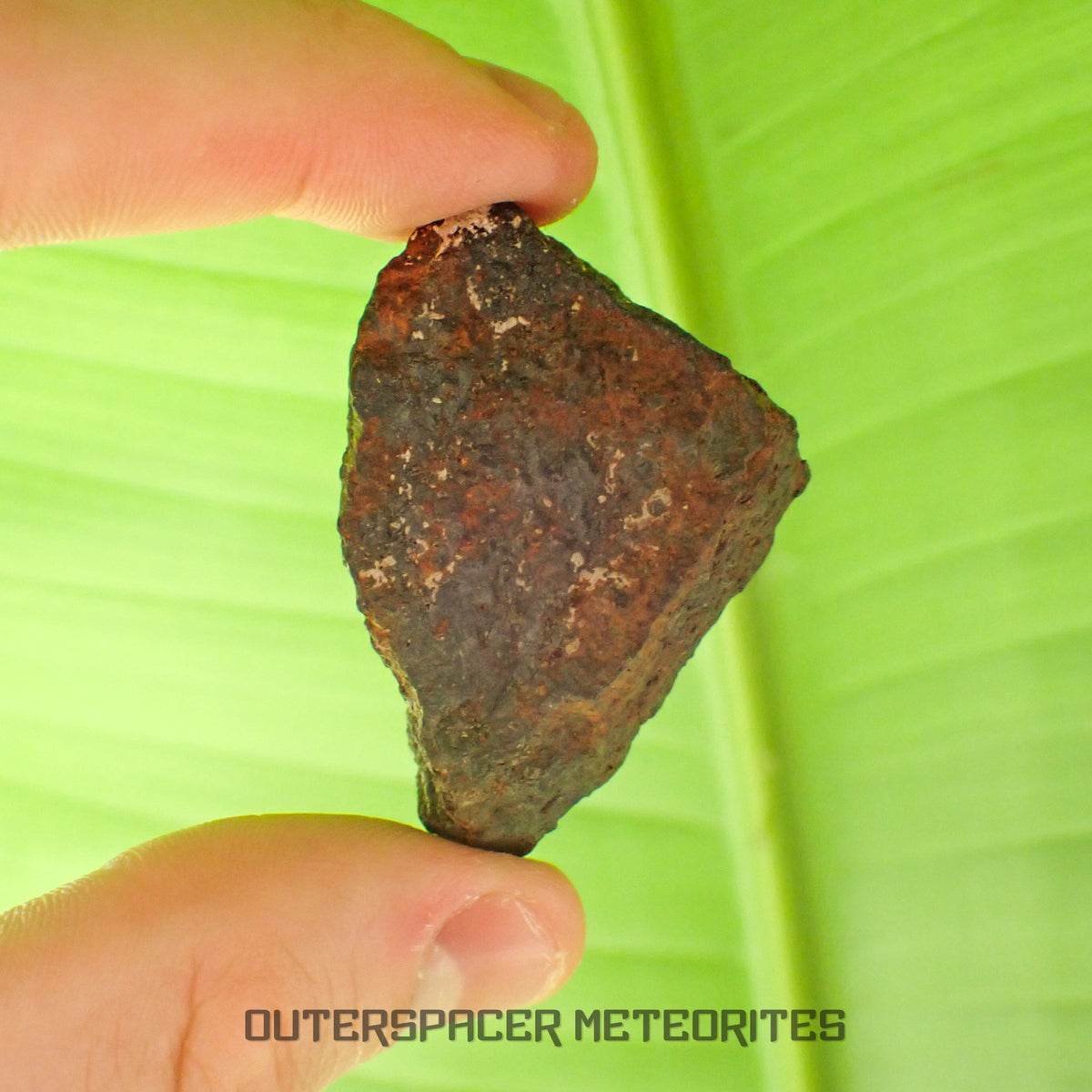 Tsarev - L5 Ordinary Chondrite - Complete Individual - 42.2g - Russia (Volgograd)