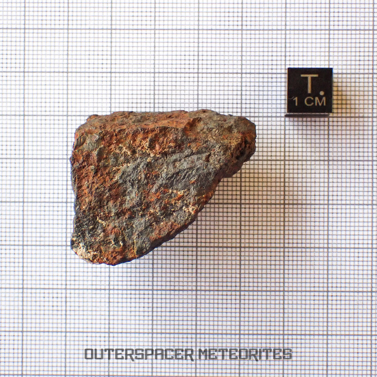 Tsarev - L5 Ordinary Chondrite - Complete Individual - 42.2g - Russia (Volgograd)