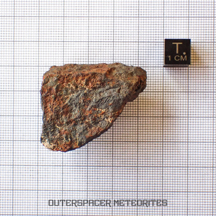 Tsarev - Condrita ordinaria L5 - Ejemplar completo - 42.2g - Rusia (Volgogrado)