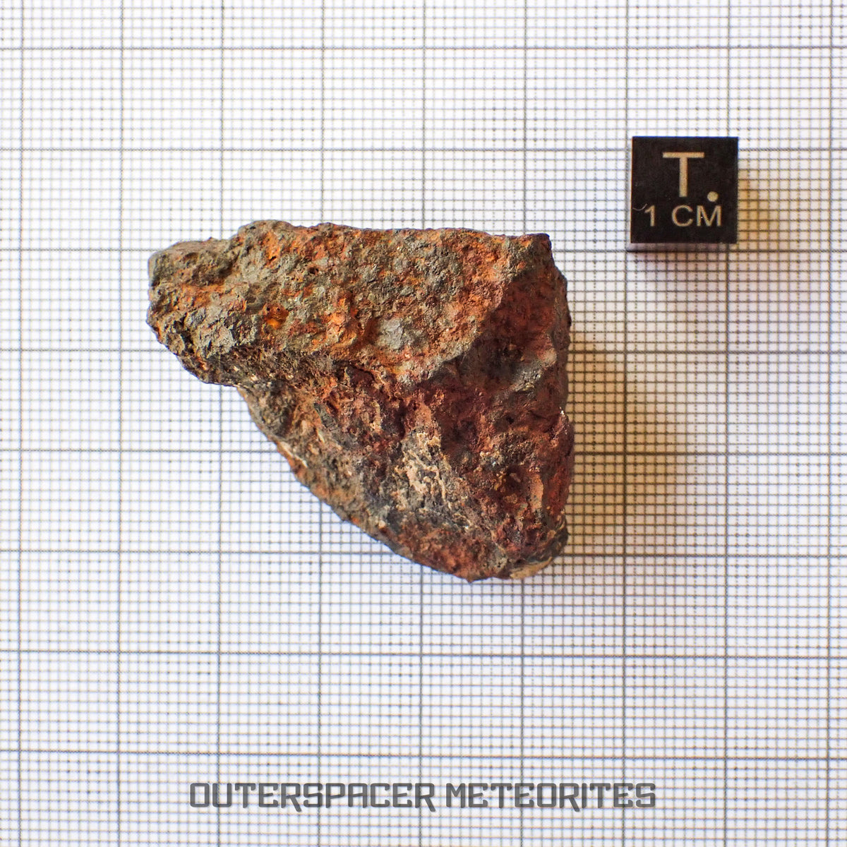 Tsarev - L5 Ordinary Chondrite - Complete Individual - 42.2g - Russia (Volgograd)