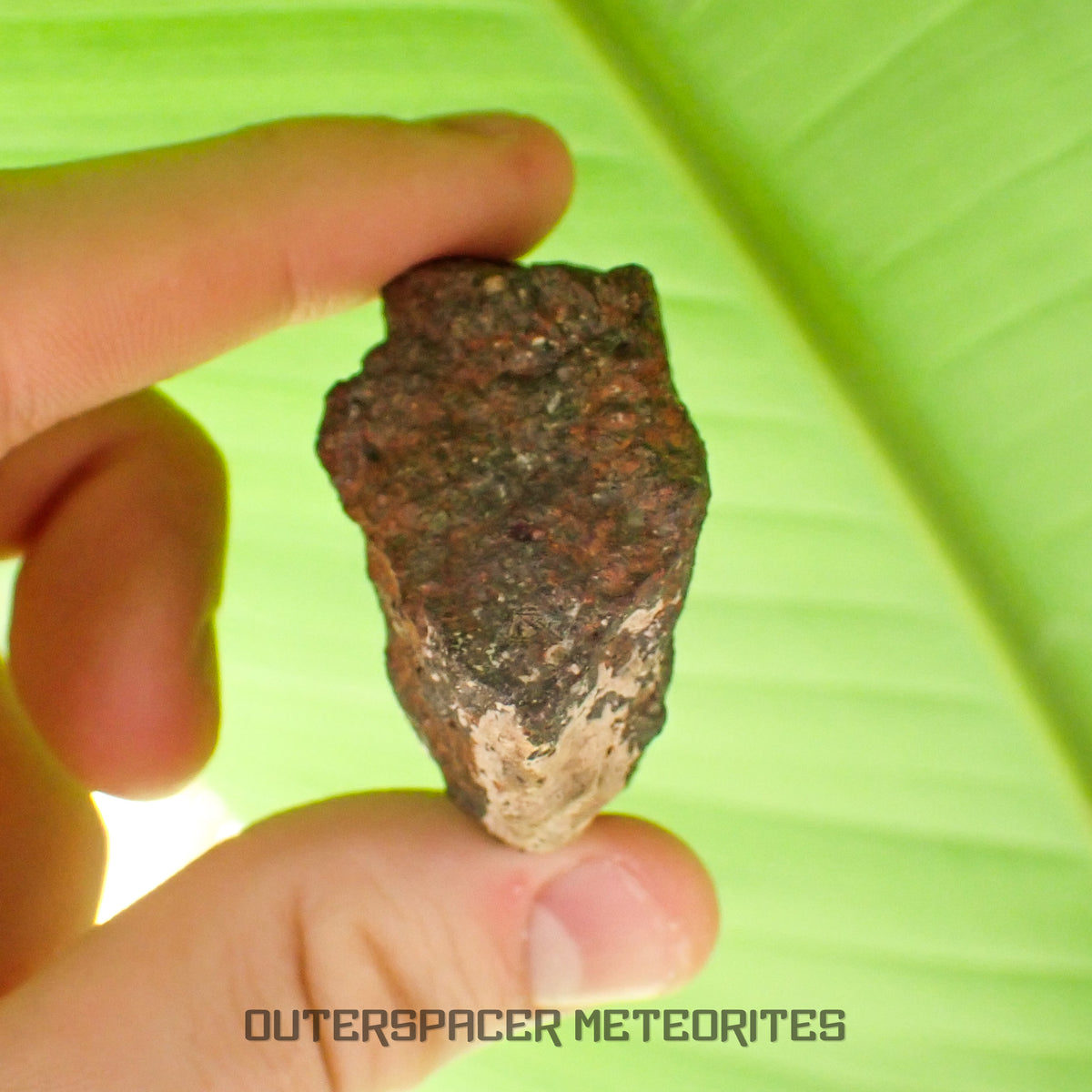 Tsarev - Chondrite ordinaire L5 - Individu complet - 68g - Russie (Volgograd)