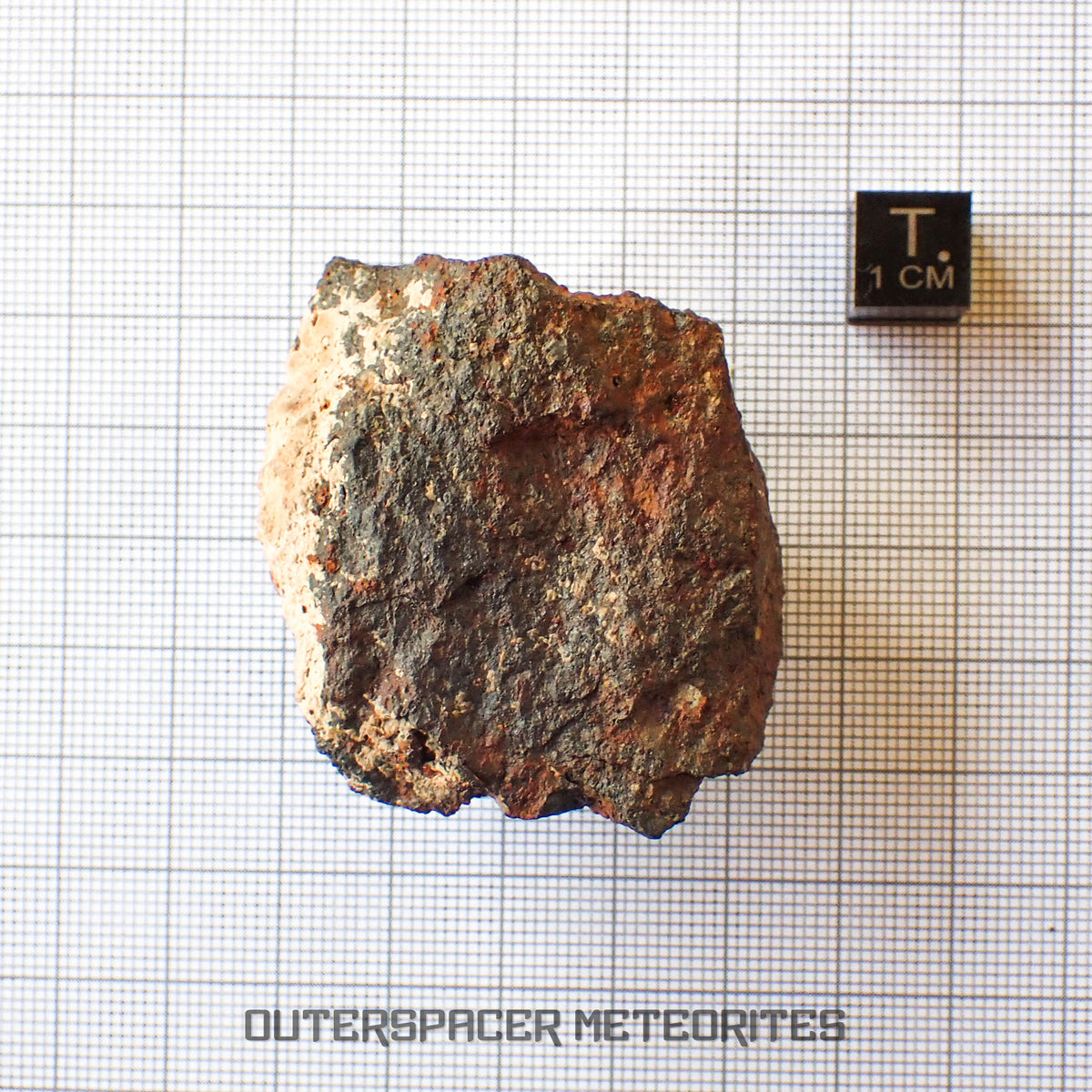 Tsarev - Chondrite ordinaire L5 - Individu complet - 68g - Russie (Volgograd)