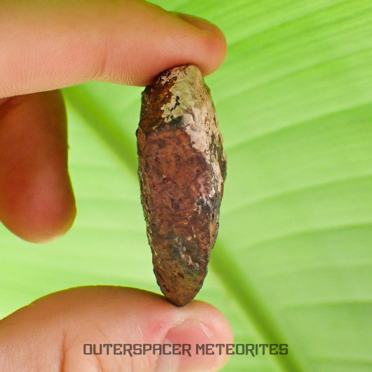 Tsarev - L5 Ordinary Chondrite - Complete Individual - 45g - Russia (Volgograd)