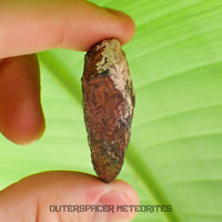 Tsarev - L5 Ordinary Chondrite - Complete Individual - 45g - Russia (Volgograd)