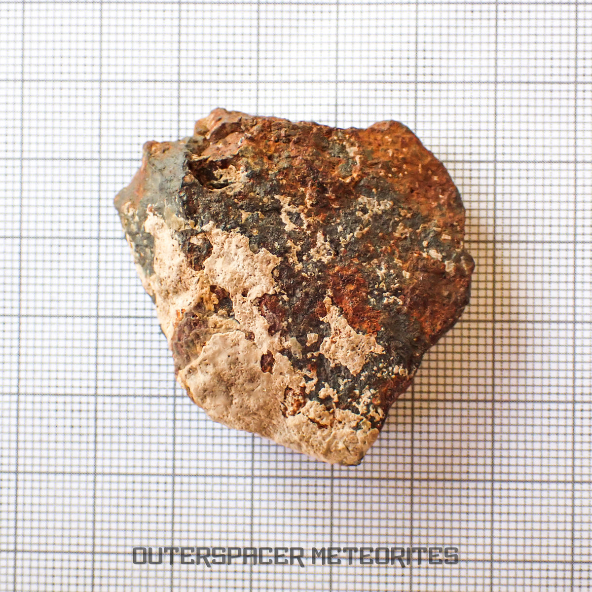 Tsarev - L5 Ordinary Chondrite - Complete Individual - 45g - Russia (Volgograd)